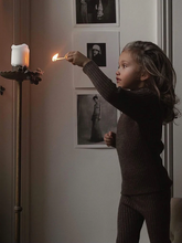 Load image into Gallery viewer, The Alpaca top-FAWN